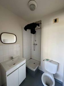 Louer Appartement Troyes 398 euros