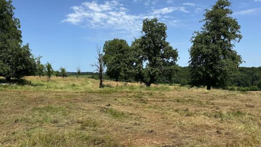 For sale Viethorey 5 rooms 124 m2 Doubs (25340) photo 4