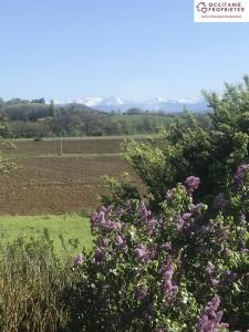 For sale Lezat-sur-leze 6 rooms 122 m2 Ariege (09210) photo 2