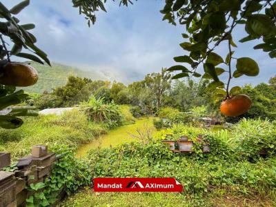 For sale Salazie 10 rooms 400 m2 Reunion (97433) photo 2