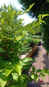 For sale Charcier 7 rooms 242 m2 Jura (39130) photo 1
