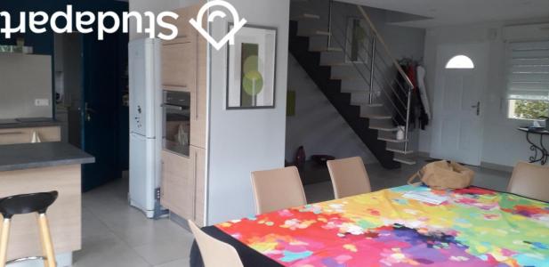 For rent Brain-sur-longuenee 1 room 13 m2 Maine et loire (49220) photo 2