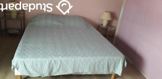 For rent Brain-sur-longuenee 1 room 13 m2 Maine et loire (49220) photo 3