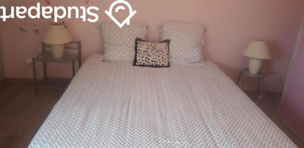 For rent Brain-sur-longuenee 1 room 13 m2 Maine et loire (49220) photo 4