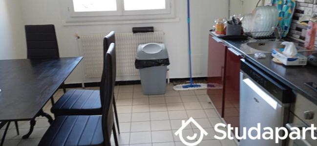 Louer Appartement Villeurbanne 1350 euros