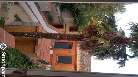 For rent Toulouse 2 rooms 25 m2 Haute garonne (31400) photo 1