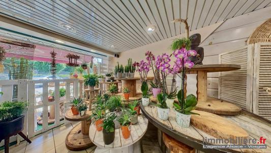Annonce Vente Local commercial Sainte-marguerite 88
