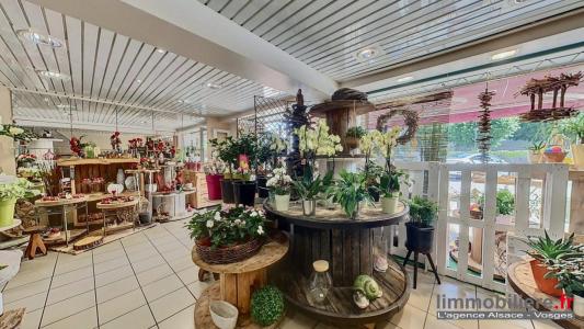 Acheter Local commercial Sainte-marguerite Vosges