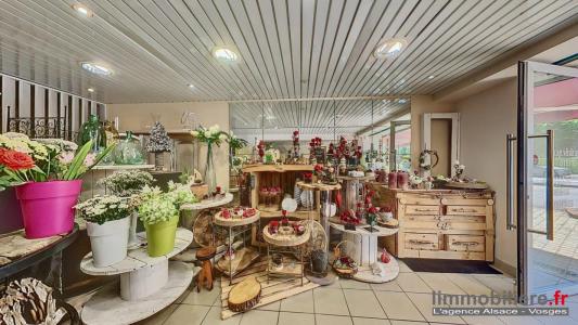 Acheter Local commercial Sainte-marguerite 44000 euros