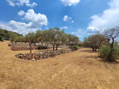 For sale Varages 4768 m2 Var (83670) photo 1