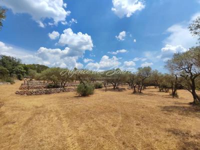For sale Varages 4768 m2 Var (83670) photo 2