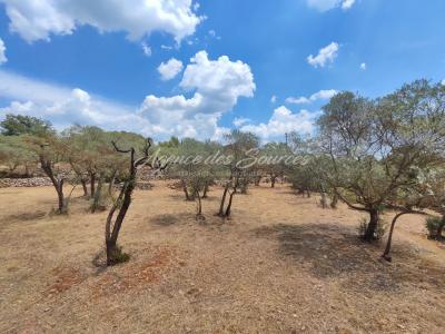 For sale Varages 4768 m2 Var (83670) photo 3