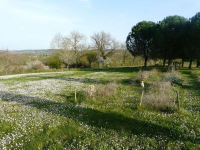 For sale QUERCY BLANC 8 rooms 194 m2 Lot (46170) photo 4