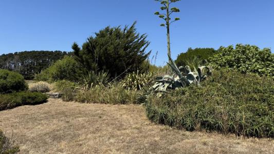For sale Sauzon 4 rooms 90 m2 Morbihan (56360) photo 2