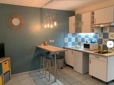Annonce Location Appartement Villeurbanne 69