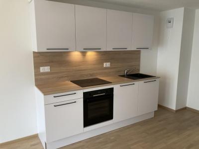 For rent Mulhouse 1 room 36 m2 Haut rhin (68100) photo 0