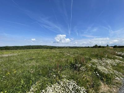 Annonce Vente Terrain Feytiat 87
