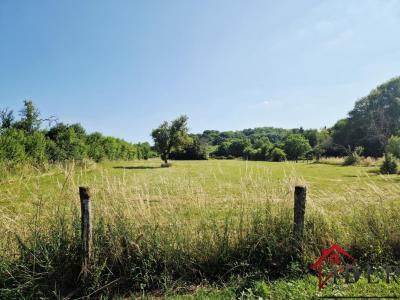 For sale Neuvelle-les-voisey 2 rooms 85 m2 Haute marne (52400) photo 1