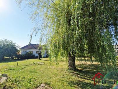 Annonce Vente 4 pices Maison Guyonvelle 52