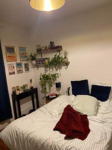 Acheter Appartement  1620 euros
