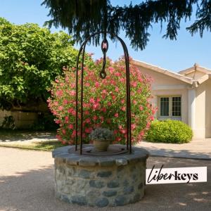 For sale Oraison 6 rooms 600 m2 Alpes de haute provence (04700) photo 3