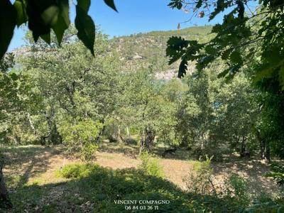 For sale Greoux-les-bains ESPARRON-DE-VERDON 5 rooms 113 m2 Alpes de haute provence (04800) photo 3