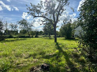 For sale Coulanges-les-nevers 700 m2 Nievre (58660) photo 0