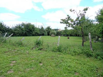 Annonce Vente Terrain Souligne-flace 72