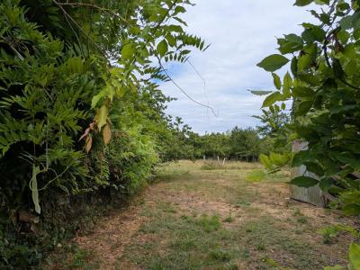 Acheter Terrain 2653 m2 Souligne-flace