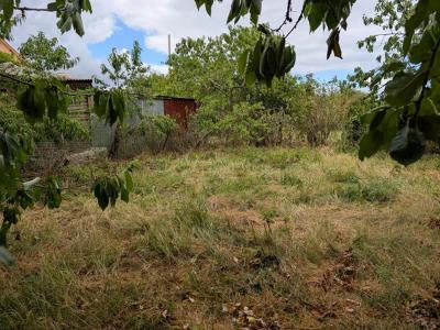 Acheter Terrain Souligne-flace 65590 euros