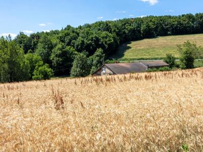 For sale Violay 4 rooms 115 m2 Loire (42780) photo 3