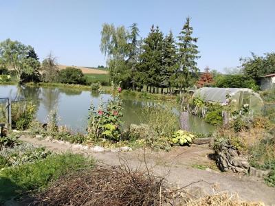 Annonce Vente Terrain Buffignecourt 70