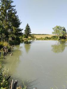 Acheter Terrain 2744 m2 Buffignecourt
