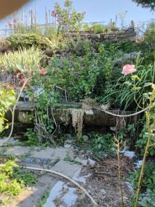 Acheter Terrain Buffignecourt 110000 euros