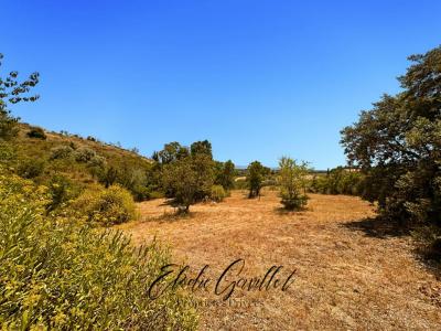 For sale Caunes-minervois 3070 m2 Aude (11160) photo 0