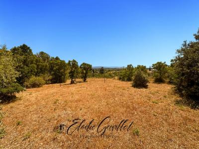 For sale Caunes-minervois 3070 m2 Aude (11160) photo 2