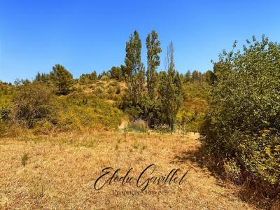 For sale Caunes-minervois 3070 m2 Aude (11160) photo 3