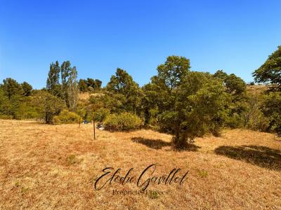 For sale Caunes-minervois 3070 m2 Aude (11160) photo 4