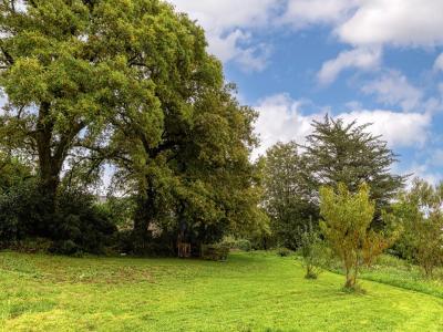 For sale Pluvigner 12 rooms 303 m2 Morbihan (56330) photo 3