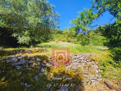 For sale Roquebrun 4 rooms 129 m2 Herault (34460) photo 3