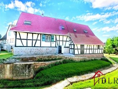 Annonce Vente 6 pices Maison Haguenau 67