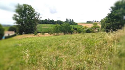 For sale Sauvetat-de-saveres 2970 m2 Lot et garonne (47270) photo 1