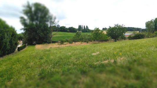 For sale Sauvetat-de-saveres 2970 m2 Lot et garonne (47270) photo 2