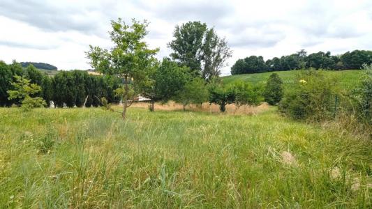 For sale Sauvetat-de-saveres 2970 m2 Lot et garonne (47270) photo 3