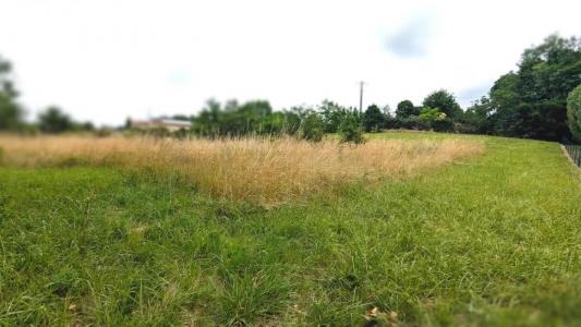 For sale Sauvetat-de-saveres 2970 m2 Lot et garonne (47270) photo 4