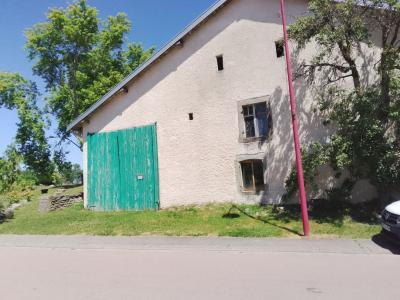 For sale 4 rooms 100 m2 Vosges (88150) photo 1