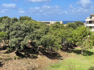 Acheter Appartement Pietrosella 540000 euros