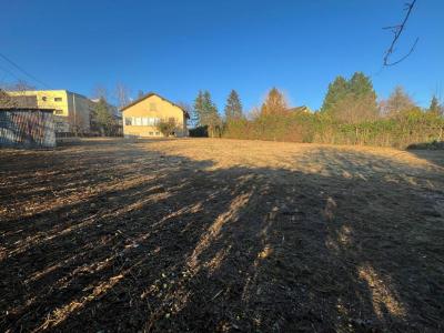 For sale Ferney-voltaire 2685 m2 Ain (01210) photo 3