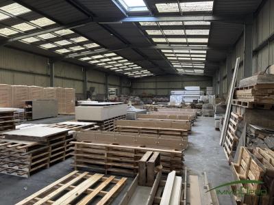 For rent Martin-eglise 747 m2 Seine maritime (76370) photo 3