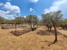For sale Land Varages 4768 m2